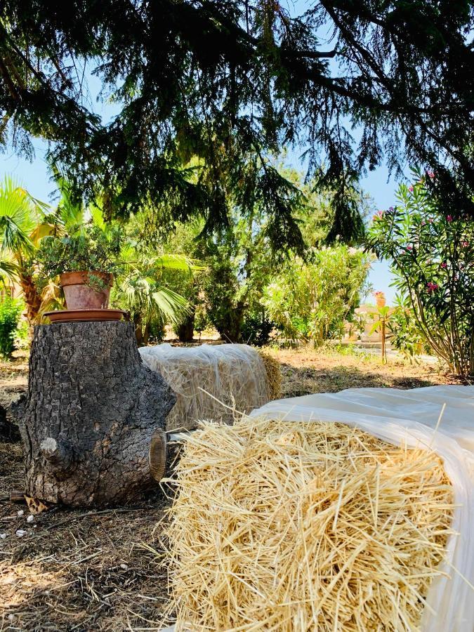 Trulli Pietra Viva Villa Алберобело Екстериор снимка