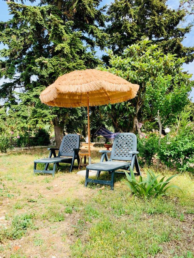 Trulli Pietra Viva Villa Алберобело Екстериор снимка